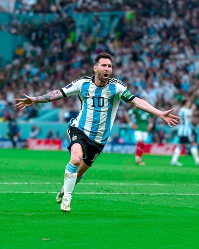 世界杯各支國家隊進入8強次數(shù)排行_巴西德國阿根廷進入世界杯8強次數(shù)_世界杯歷史總排名