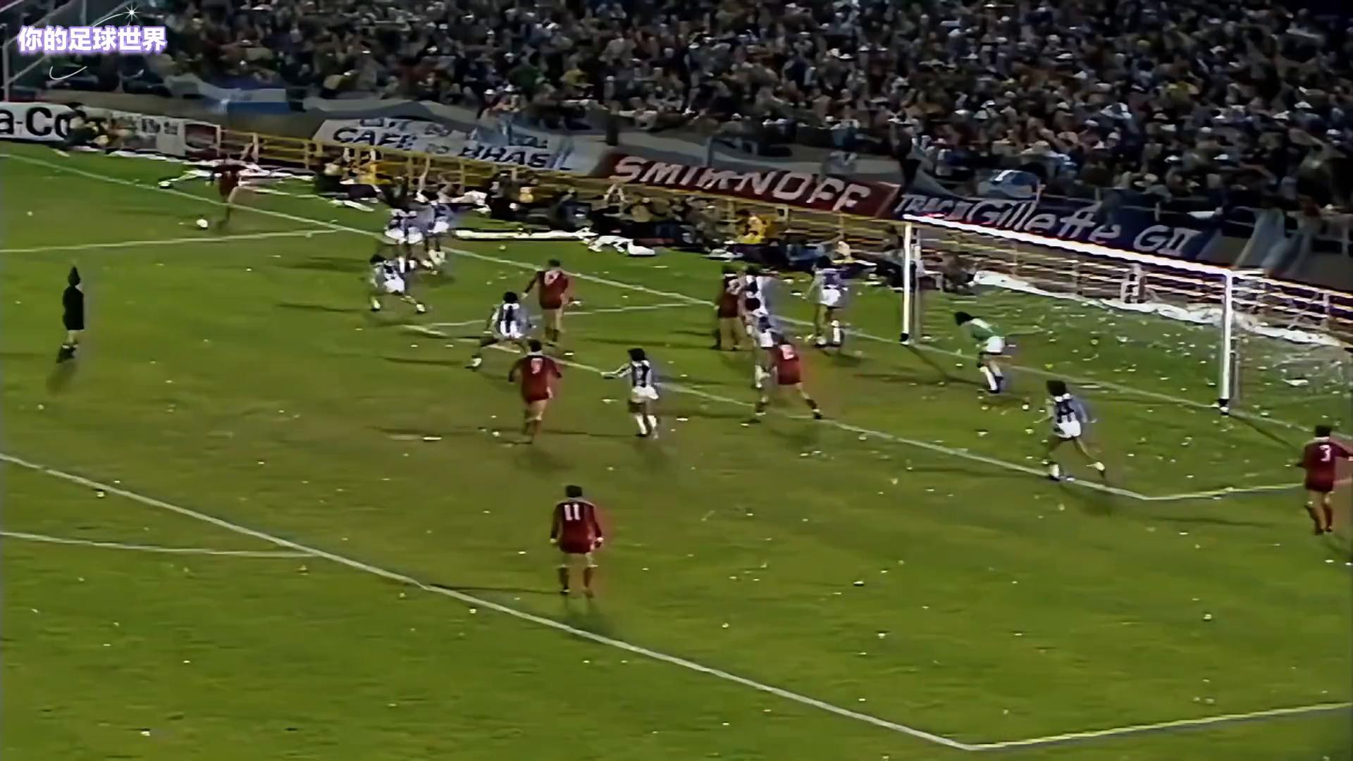 1978年阿根廷世界杯真相_世界杯黑歷史_荷蘭世界杯歷史